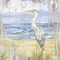 Birds of the Coast Rustic II Poster Print by Tara Reed - Item # VARPDXRB13050TR